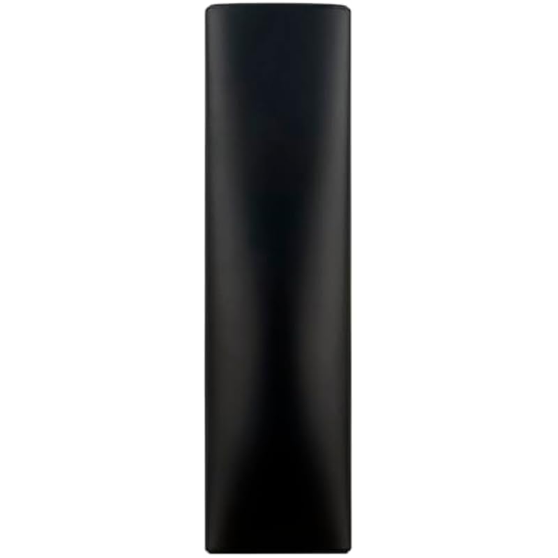 21hzgbtd0sl. ac us800 .jpg