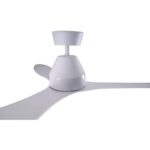 21jej9uj9gl. ac us800 .jpg