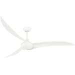 21jomdhccl. ac us800 .jpg