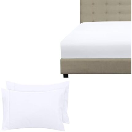 21rpc8pn53l. ac us800 .jpg