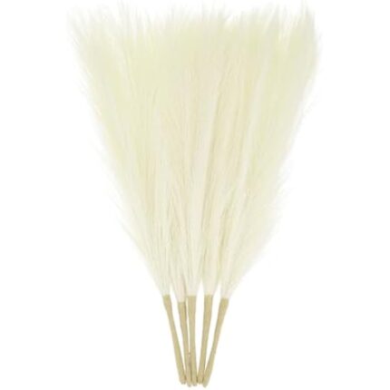 21mx rcvdul. ac us800 3.jpg