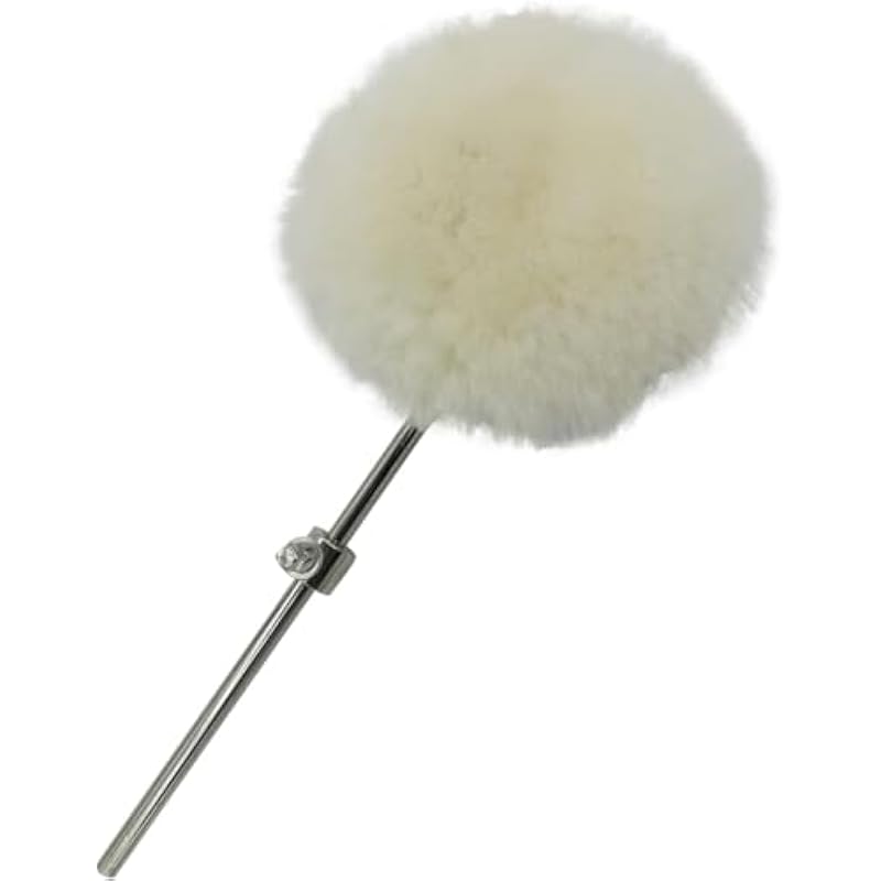 21rcics9w8l. ac us800 .jpg