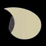 21rpyy06i3l. ac us800 .jpg