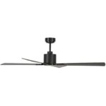 21yr2pnoswl. ac us800 .jpg