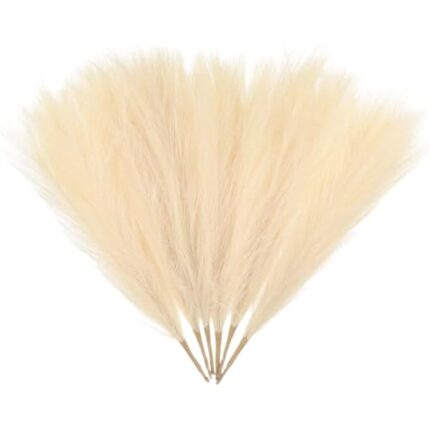 314oiqmyg2l. ac us800 .jpg