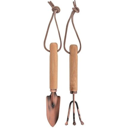 315w5jzovil. ac us800 .jpg