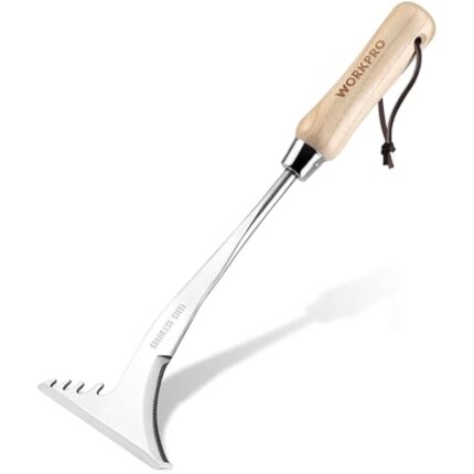 316o5nrurxl. ac us800 .jpg