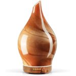 318vnr1ptrl. ac us800 .jpg