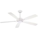 319jsoxoekl. ac us800 .jpg