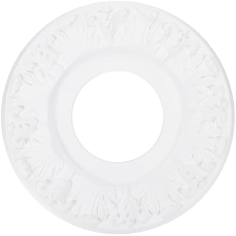 31botyy5fml. ac us800 .jpg