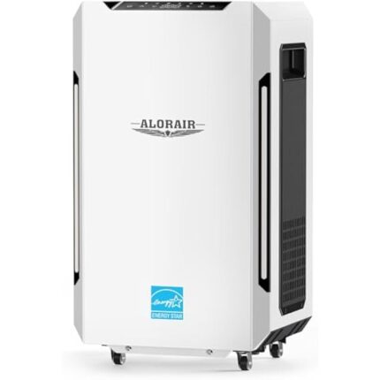 31c3u5w9qll. ac us800 .jpg