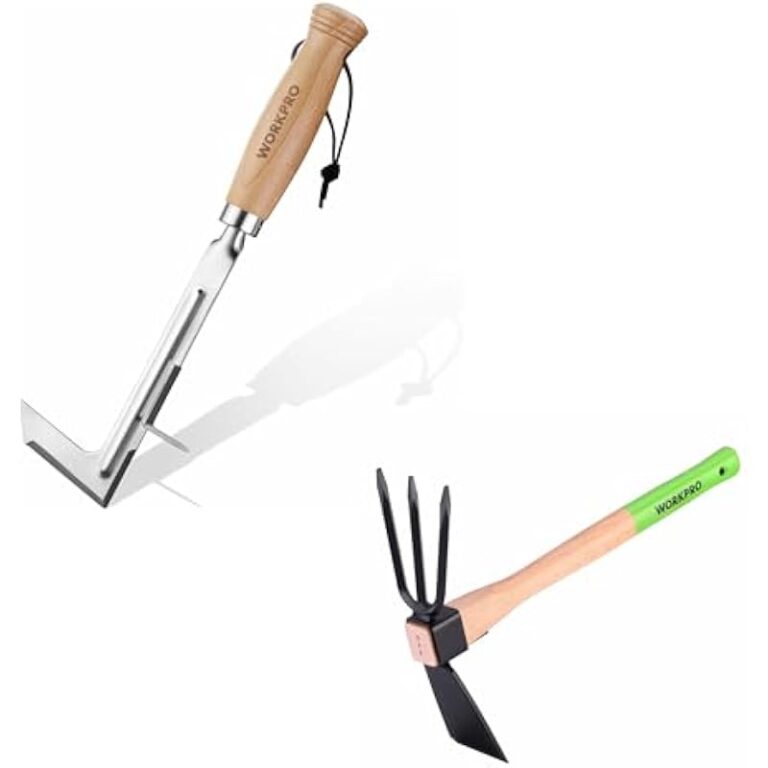 31djw19ev1l. ac us800 .jpg