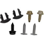 31esqcgxkjl. ac us800 .jpg