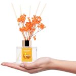 31hujuinanl. ac us800 .jpg