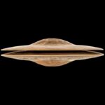 31lhddkcjil. ac us800 .jpg