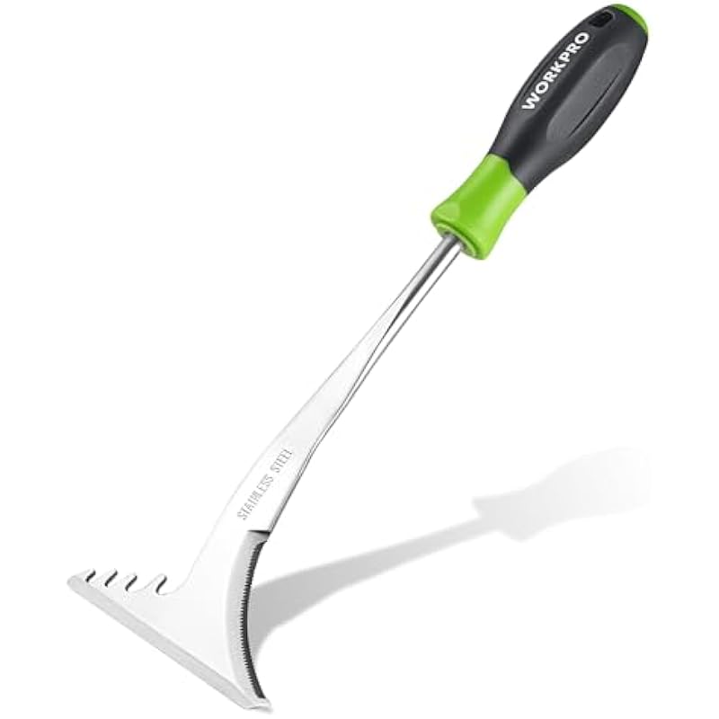 31mcxgbhnol. ac us800 .jpg