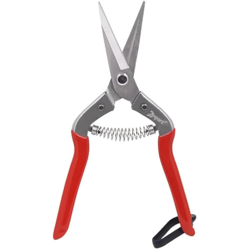 31psrmdyrl. ac us800 .jpg