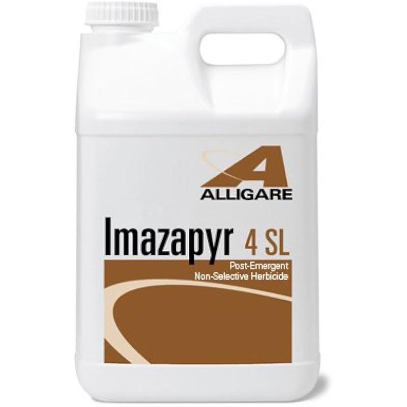 31pev07liel. ac us800 .jpg