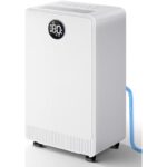 31rlp49lmql. ac us800 .jpg