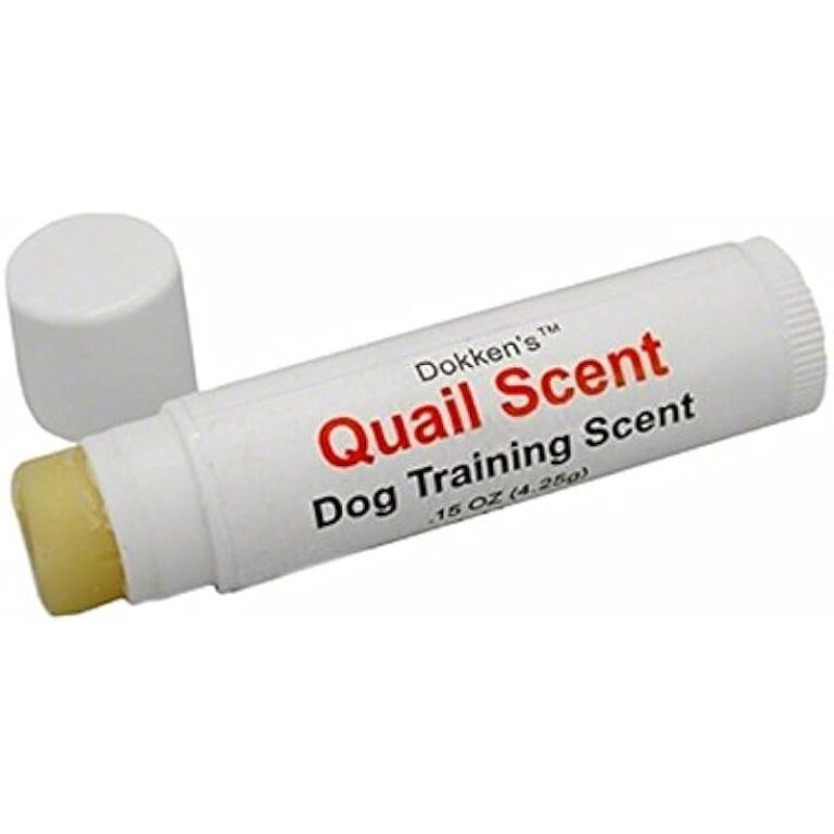 31t6cz9knyl. ac us800 .jpg