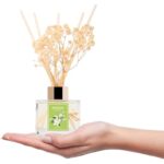 31t6yqembnl. ac us800 .jpg