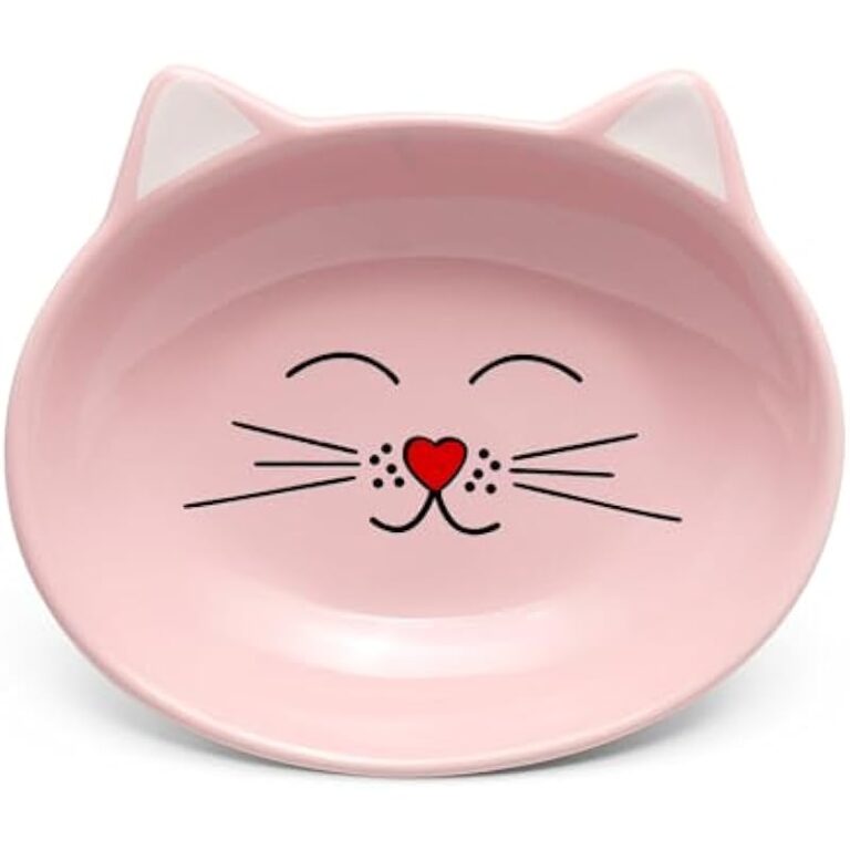 31tyqhettyl. ac us800 .jpg