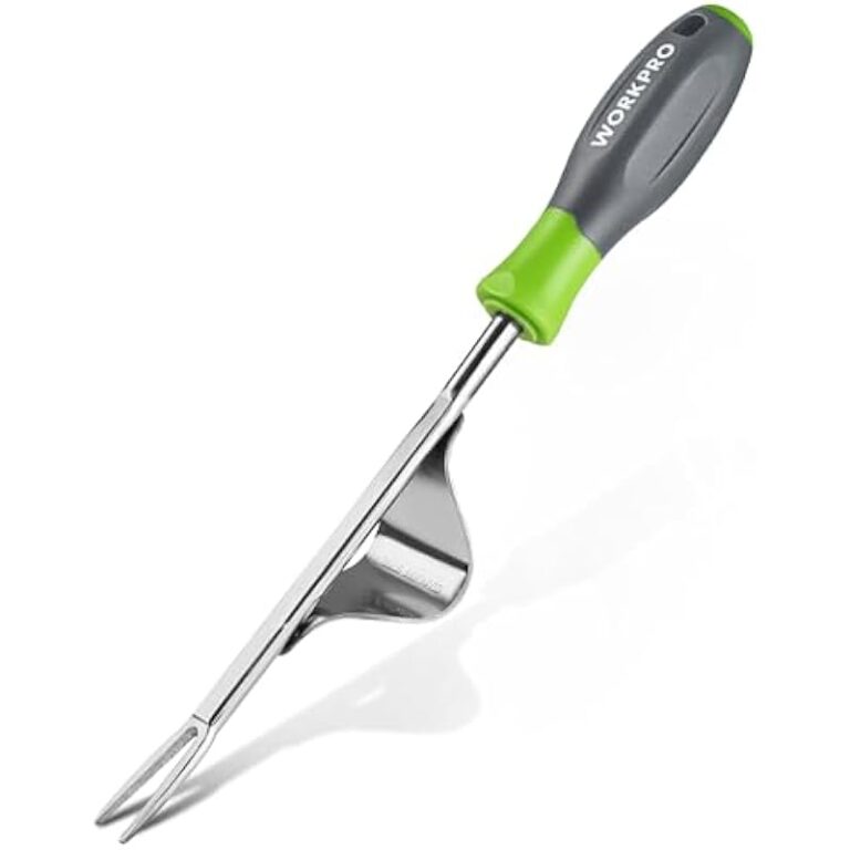 31vwwmspm7l. ac us800 .jpg