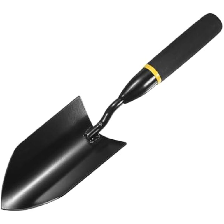 31w5f3xudll. ac us800 .jpg