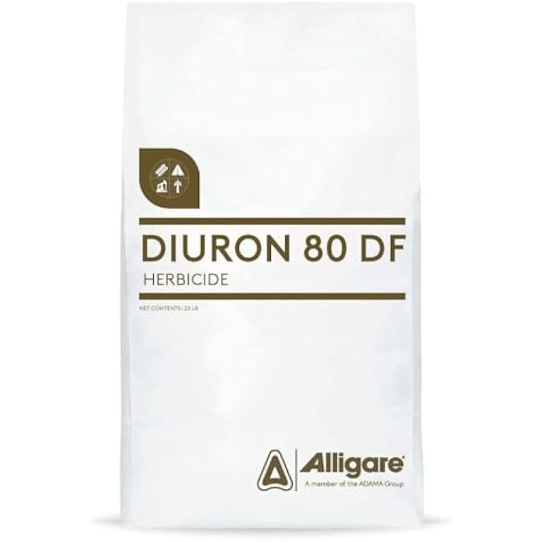 31wst6vdkjl. ac us800 .jpg