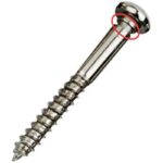 31ylbpupkl. ac us800 .jpg