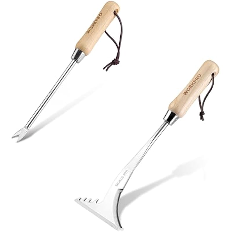 31zvmhpumsl. ac us800 .jpg