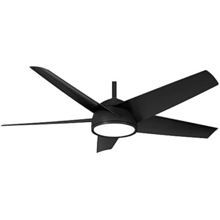 31cduayiadl. ac us800 .jpg