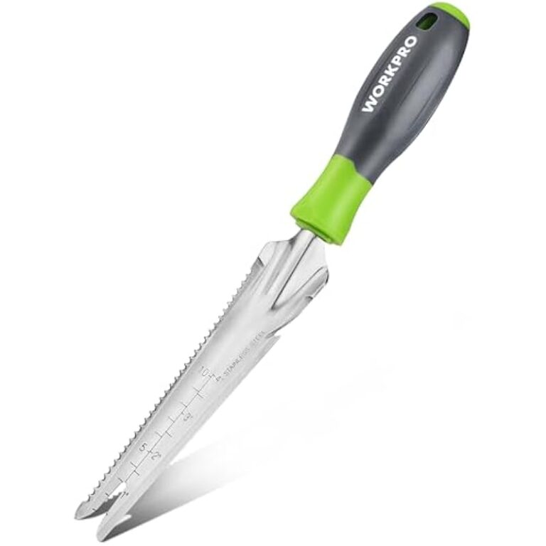 31ediv03xwl. ac us800 .jpg