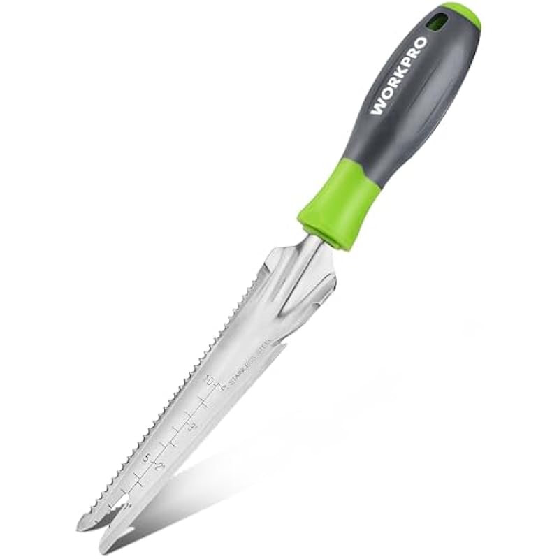 31ediv03xwl. ac us800 .jpg