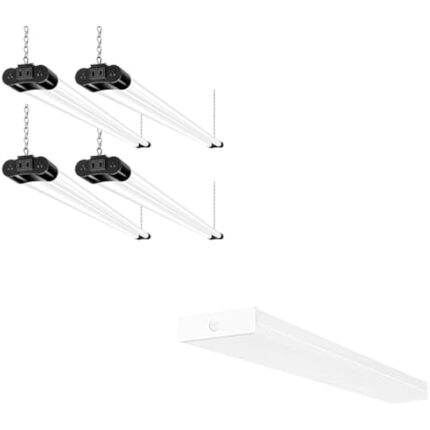 31eq9c88gtl. ac us800 .jpg