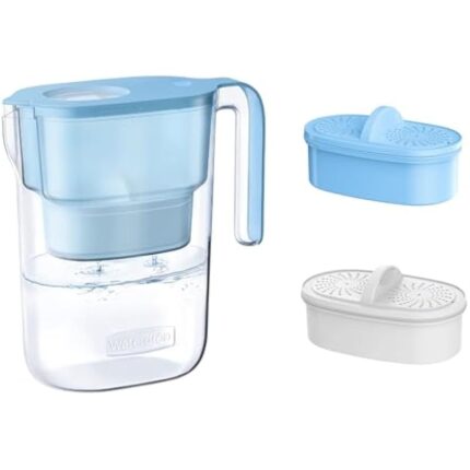 31fyiyh2qel. ac us800 .jpg