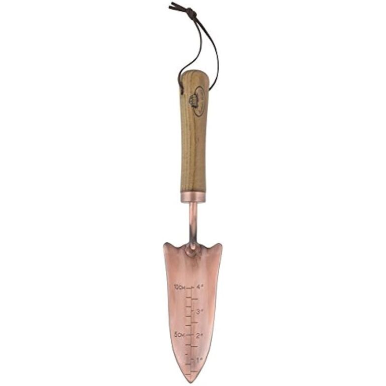 31gcosnnizl. ac us800 .jpg