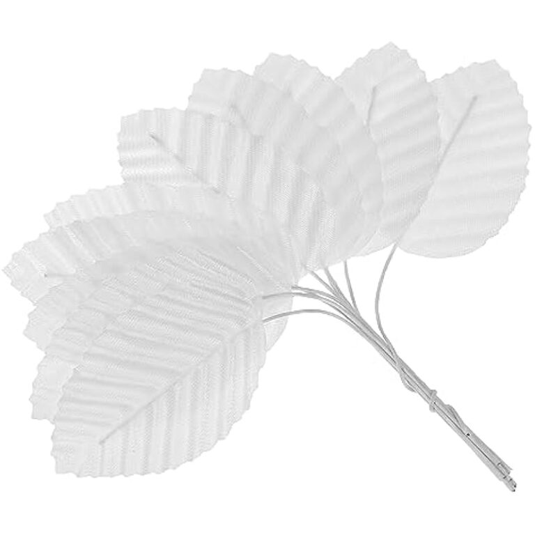 31ia7ukwpil. ac us800 .jpg