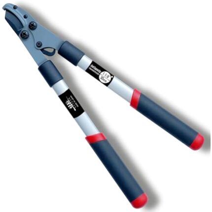 31irw8uusil. ac us800 .jpg