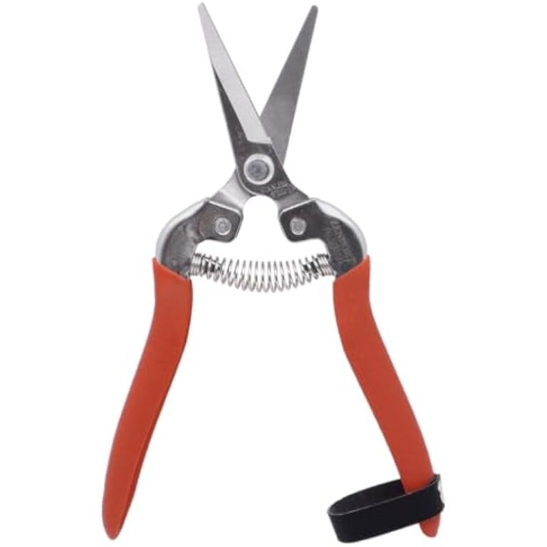 31j6hy8m64l. ac us800 .jpg