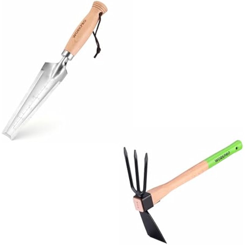 31l0ryqzvgl. ac us800 .jpg