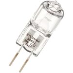 31ntmxu zbl. ac us800 .jpg