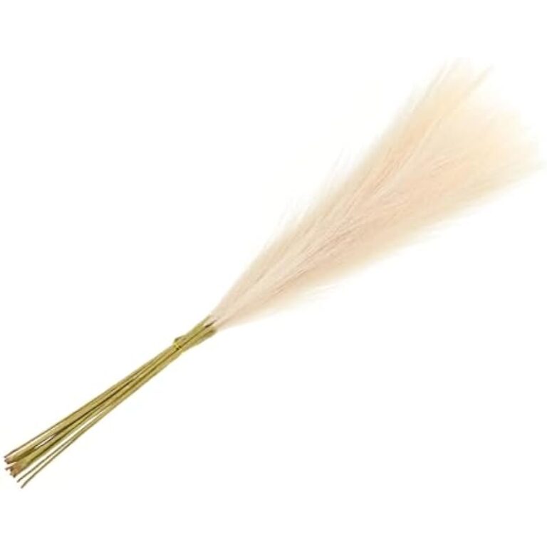 31prsvuua8l. ac us800 .jpg