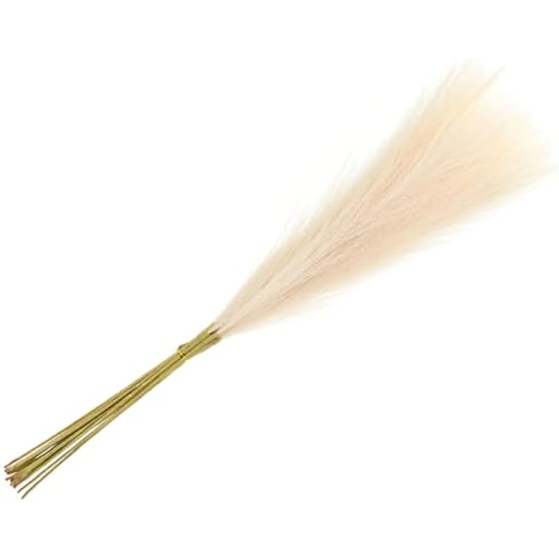 31prsvuua8l. ac us800 .jpg