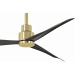 31vwoot6hil. ac us800 .jpg