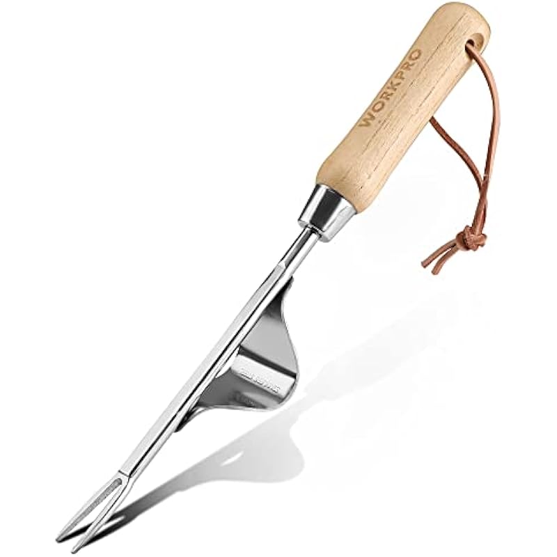 31vvxtAd33L._AC_US800_.jpg 31vvxtad33l. ac us800 .jpg