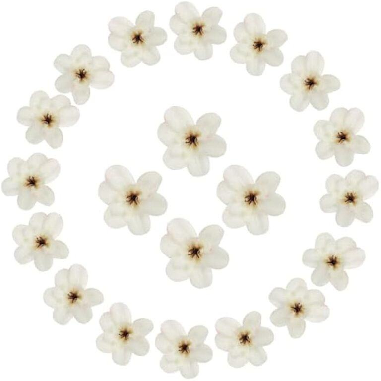 31w3lsmj4l. ac us800 .jpg