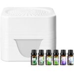 31y06kcd6hl. ac us800 .jpg