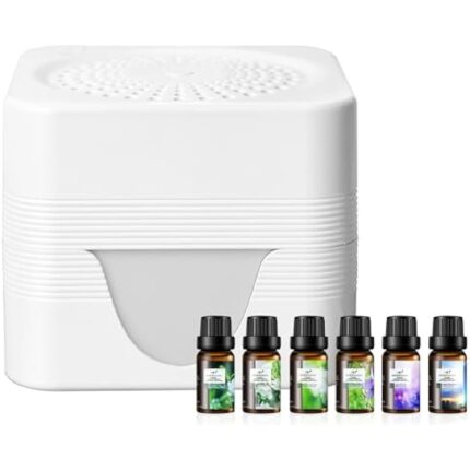 31y06kcd6hl. ac us800 .jpg