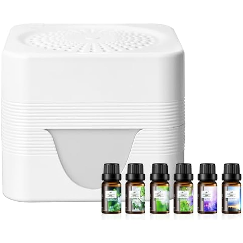 31y06kcd6hl. ac us800 .jpg